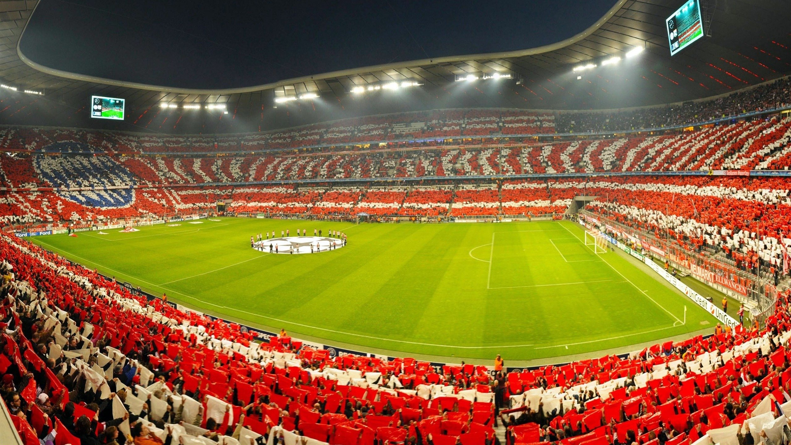 自然野外：山地、多林地中的极限网球挑战