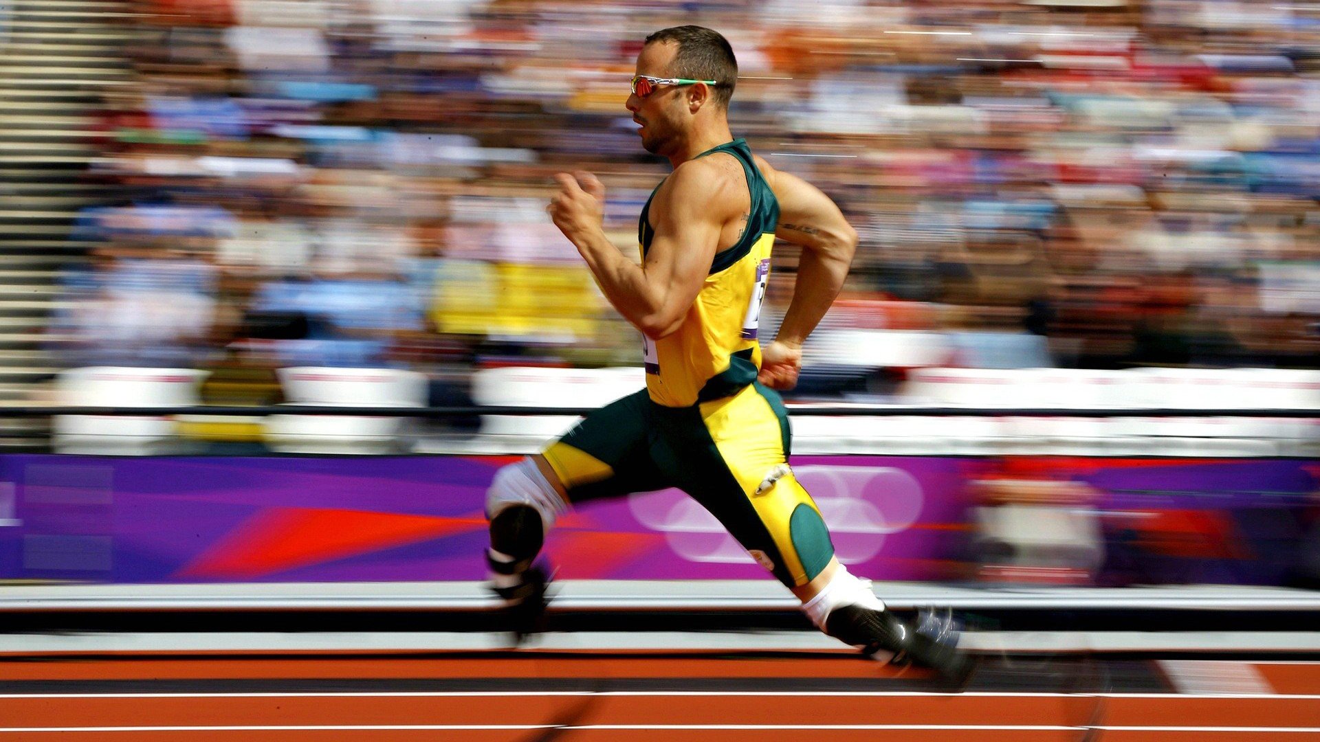 绿茵场上新“黑科技”频出，为比赛增添新看点，绿茵 fm